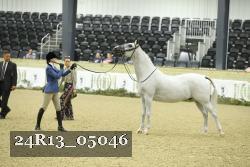 24R13_05046 thumbnail
