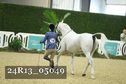 24R13_05049 thumbnail