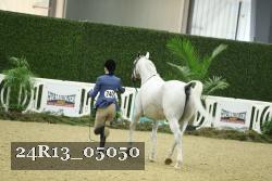 24R13_05050 thumbnail