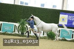 24R13_05052 thumbnail