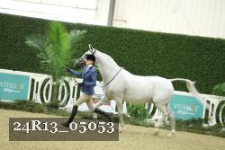 24R13_05053 thumbnail