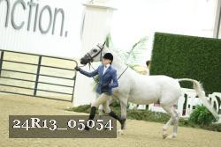 24R13_05054 thumbnail