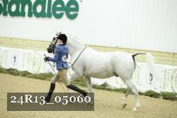24R13_05060 thumbnail