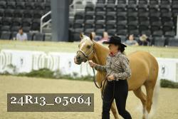 24R13_05064 thumbnail