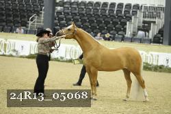 24R13_05068 thumbnail