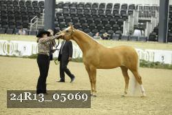 24R13_05069 thumbnail