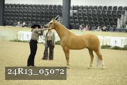 24R13_05072 thumbnail