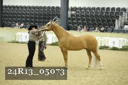 24R13_05073 thumbnail