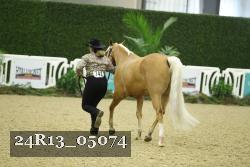 24R13_05074 thumbnail