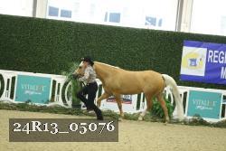 24R13_05076 thumbnail