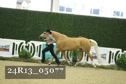 24R13_05077 thumbnail