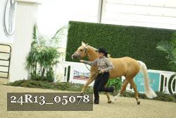24R13_05078 thumbnail