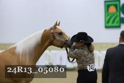 24R13_05080 thumbnail