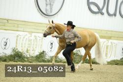 24R13_05082 thumbnail