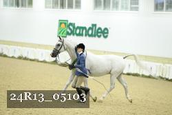 24R13_05103 thumbnail