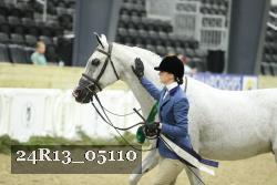 24R13_05110 thumbnail