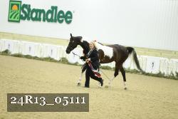 24R13_05111 thumbnail