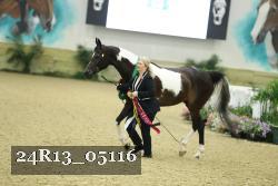24R13_05116 thumbnail