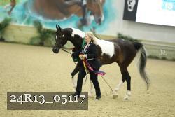 24R13_05117 thumbnail