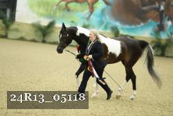 24R13_05118 thumbnail