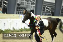 24R13_05120 thumbnail