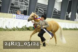 24R13_05124 thumbnail