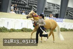 24R13_05125 thumbnail