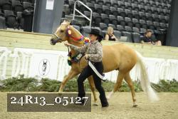 24R13_05127 thumbnail