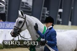 24R13_05133 thumbnail