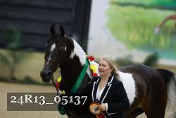 24R13_05137 thumbnail