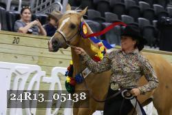 24R13_05138 thumbnail
