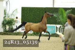 24R13_05139 thumbnail