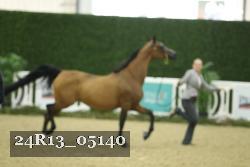 24R13_05140 thumbnail