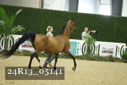 24R13_05141 thumbnail
