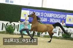 24R13_05142 thumbnail