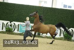 24R13_05143 thumbnail