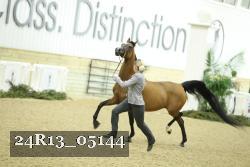 24R13_05144 thumbnail