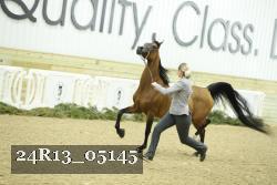 24R13_05145 thumbnail