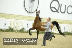 24R13_05146 thumbnail