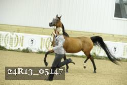 24R13_05147 thumbnail