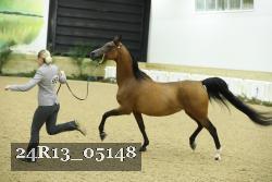 24R13_05148 thumbnail