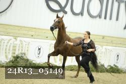 24R13_05149 thumbnail