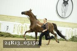 24R13_05150 thumbnail
