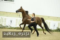 24R13_05151 thumbnail
