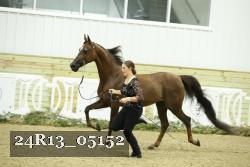 24R13_05152 thumbnail
