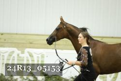 24R13_05153 thumbnail