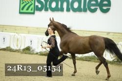 24R13_05154 thumbnail