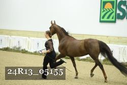 24R13_05155 thumbnail