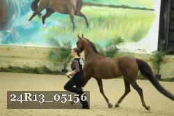 24R13_05156 thumbnail