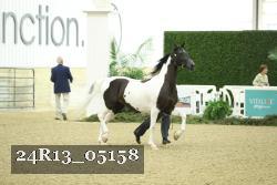 24R13_05158 thumbnail